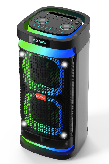 BTS-6620-02A Xenon partyspeaker  Exen  Audio  partyspeaker  china speaker factory   manufacture  chinese  OEM  ODM