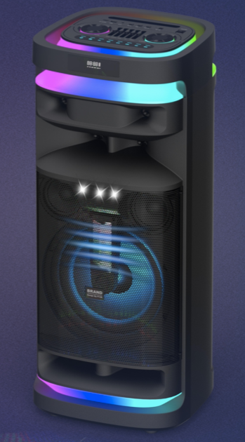 BTS-D1228A Xenon partyspeaker  Exen  Audio  partyspeaker  china speaker factory   manufacture  chinese  OEM  ODM