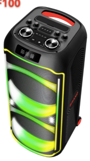 BTS-F100  Xenon partyspeaker  Exen  Audio  partyspeaker  china speaker factory   manufacture  chinese  OEM  ODM