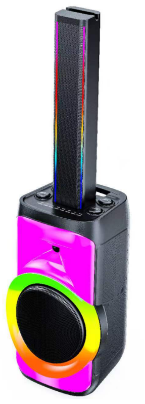 BTS-CS1011 Xenon partyspeaker Exen Audio partyspeaker china speaker factory manufacture chinese OEM ODM