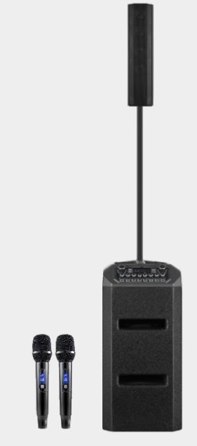 BTS-PRO802 Xenon partyspeaker Exen Audio partyspeaker china speaker factory manufacture chinese OEM ODM